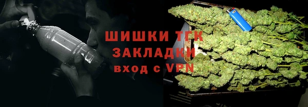 соль ск Алзамай