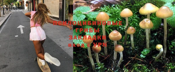 прущие крисы Алексеевка