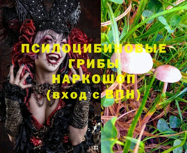 соль ск Алзамай