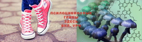 амфетамин Алексин